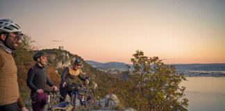 carso trial