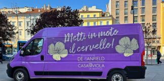 metti in moto il cervello de Banfield
