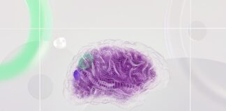 Conferenza EvoStar, Università di Trieste protagonista internazionale dell’intelligenza artificiale bio-ispirata