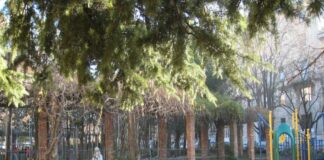 piazza carlo alberti reti campo calcio mozione bressan quarta circoscrizione
