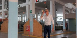 ok unanime in 5 circoscrizione alla mozione di civica idea giuliana per rivitalizzare il mercato coperto