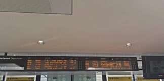 linea elettrica opicina