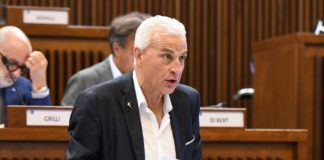 ferrari società idroelettrica forni di sopra