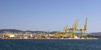 Msc Budapest Trieste, un'immagine portuale di repertorio