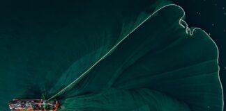 pesca strascico studio