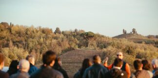 L’autunno del vino, il Friuli saluta Vigneti Aperti con gli ultimi brindisi Vigneti Aperti Friuli Venezia Giulia, enoturismo Friuli Venezia Giulia, degustazioni vino Friuli, cantine aperte Friuli, turismo del vino, eventi autunno Friuli, tradizioni friulane