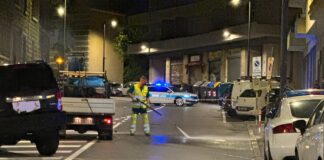 trieste, incidente via fabio severo, incidente mortale trieste, marta giannelli, ricercatrice universitaria trieste, ragazza investita trieste, cronaca trieste