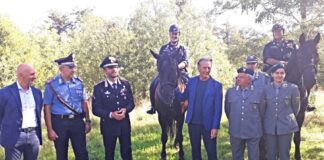 ronde cavallo carso
