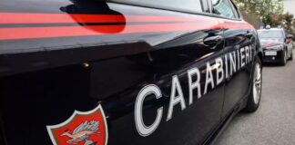 abusi autobus arrestato