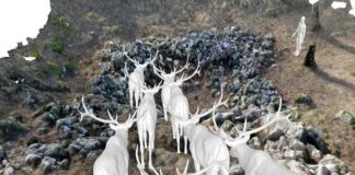 megastrutture carso