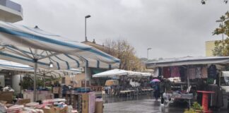 mercato Muggia