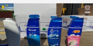 Porto, maxi sequestro di 900mila confezioni di shampoo e profumatori contraffatti porto maxi sequestro