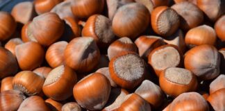 Crisi nocciole, tra Italia, Turchia e Serbia