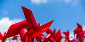 25 novembre, violenza contro le donne, trieste, piazza unità d'Italia