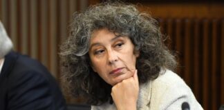 pellegrino snaidero - alleanza verdi sinistra - majano - licenziamenti