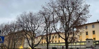 carceri italiane, carcere del Coroneo, sistema penitenziario, giustizia, sovraffollamento carcerario, sicurezza, Trieste