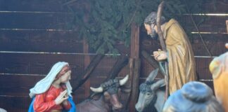 presepe, Trieste, Natale, piazza Unità d’Italia, luci natalizie, tradizione, turismo
