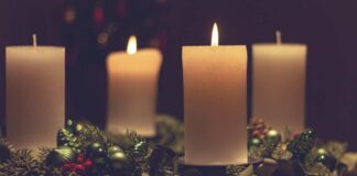 Natale sostenibile, WWF Italia