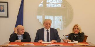 manuale affido famigliare