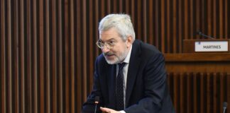 honsell migranti - centri accoglienza