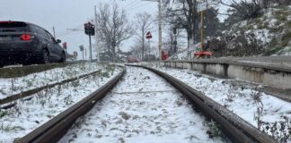 neve a Trieste, neve a Opicina, Opicina imbiancata, neve sul Carso, maltempo Trieste, nevicata 2019, meteo Trieste
