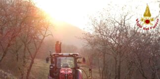piste forestali, Carso triestino, incendi boschivi, prevenzione incendi, Vigili del Fuoco, Corpo Forestale Regionale, tutela del territorio