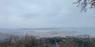 Trieste News, Facebook, informazione locale, giornalismo digitale, social network, community, crescita online, neve, neve Trieste