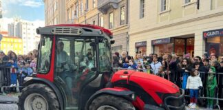 Carnevale di Trieste, Palio del Carnevale, rioni di Trieste, Cittavecchia-San Giusto, sfilata carri, tradizione triestina, eventi cittadini