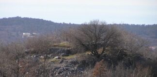 Castellieri dimenticati, milioni europei e occasioni perse: perché il Carso ignora il suo tesoro archeologico