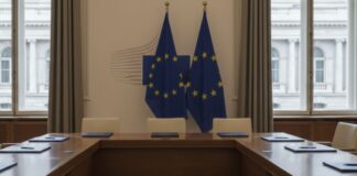 bando funzionari, ue, amministratori