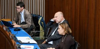 gruppo pd sicurezza