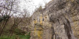 Piacevolmente Carso, escursioni, doline