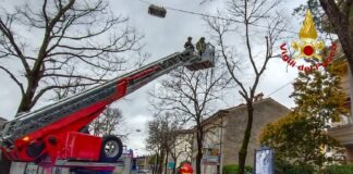 Friuli Venezia Giulia, Vigili del Fuoco, maltempo, Udine, Pordenone, interventi emergenza, allagamenti