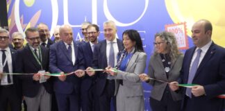 bini olio capitale