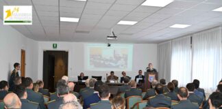 Formazione, Guardia di Finanza, contrasto alla criminalità organizzata