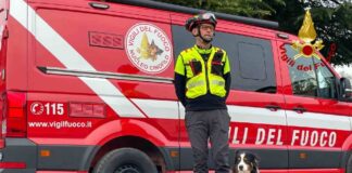 Lamù, Vigili del fuoco, cane eroe, Nucleo Cinofili, Friuli Venezia Giulia, Ponte Morandi, terremoto Turchia
