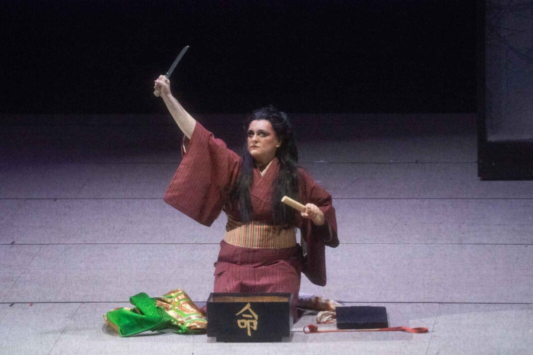 Madama Butterfly, Teatro Verdi Trieste, recensione opera, Puccini, lirica, musica classica, critica teatrale