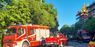 Trieste, Carso triestino, falso allarme, ricerche sospese, soccorso alpino, Vigili del fuoco, Numero unico emergenza