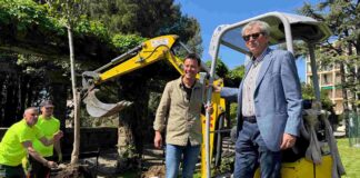 verde urbano, copertura arborea, isole di calore, cambiamento climatico, pianificazione urbana, biodiversità, Trieste