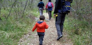 bambino e adulti passeggiano in un sentiero del Carso