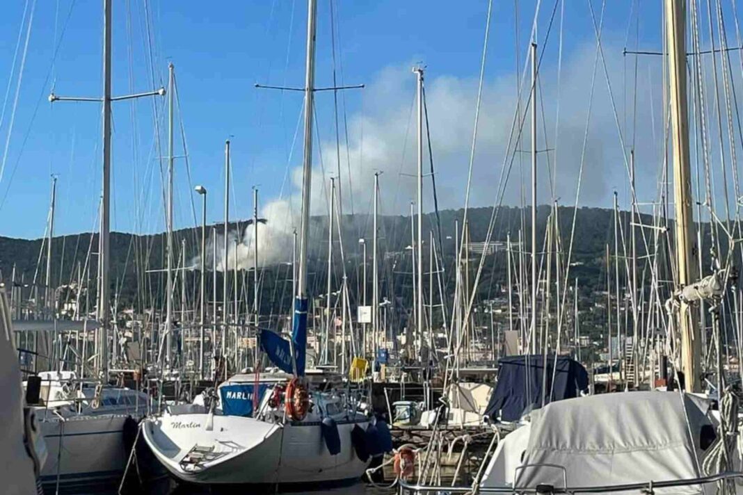 incendio, Carso triestino, Trieste, Vigili del fuoco, Protezione civile, via Bonomea, fumo