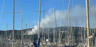 incendio, Carso triestino, Trieste, Vigili del fuoco, Protezione civile, via Bonomea, fumo