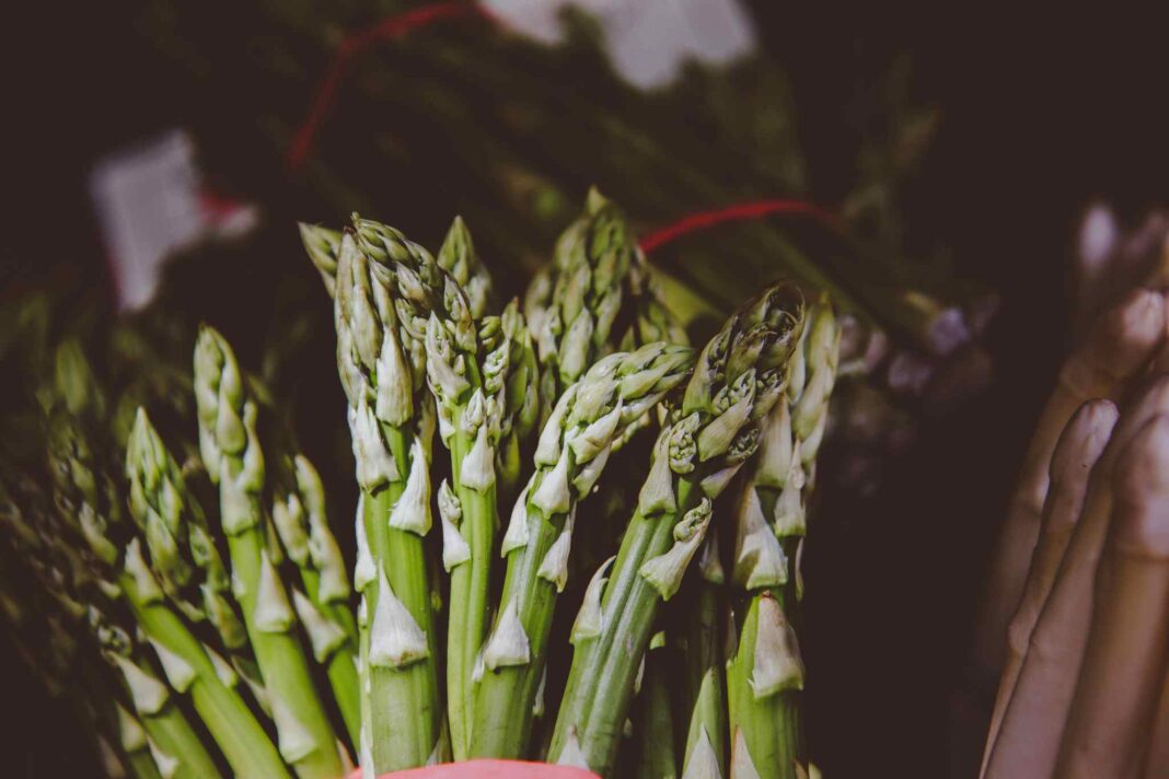 Asparagi