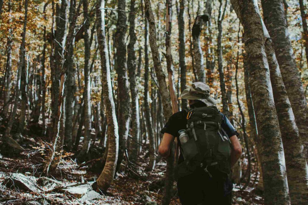 Hiking, turismo lento
