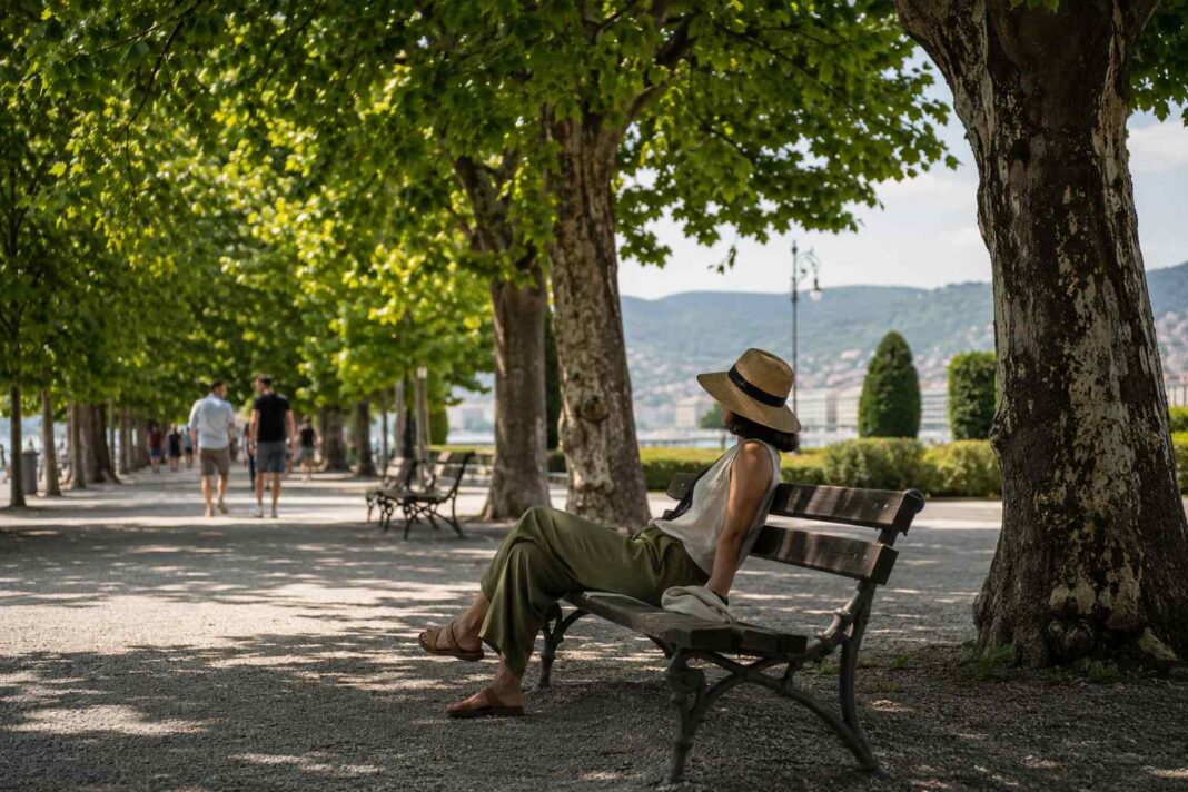 Rifugi climatici, Trieste, caldo estremo, ondate di calore, cambiamenti climatici, Carso, verde urbano