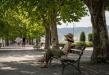 Rifugi climatici, Trieste, caldo estremo, ondate di calore, cambiamenti climatici, Carso, verde urbano