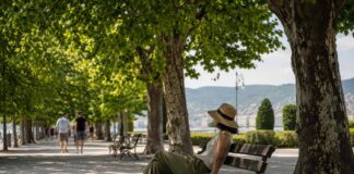 Rifugi climatici, Trieste, caldo estremo, ondate di calore, cambiamenti climatici, Carso, verde urbano