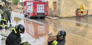maltempo Friuli Venezia Giulia, Udine temporali, Vigili del fuoco interventi, emergenza meteo, allagamenti, alberi caduti, Pordenone maltempo