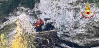 cane, Natisone, Cividale del Friuli, Vigili del Fuoco, salvataggio animale, Udine, soccorso