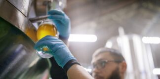 mastro birraio spilla un bicchiere di birra